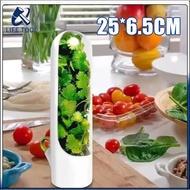 Fresh Box Kitchen Vegetable Storage Container for Coriander, Onions, Celery, Basil