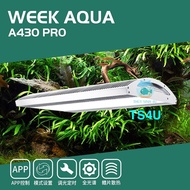 Đèn Week ARK Pro - A430 cao cấp đánh màu cực đẹp