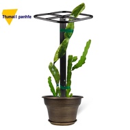 Premium Dragon Fruit Trellis Durables Metal Trellis for Vertical Gardening and Climbing Plants