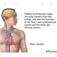 Vitamin B1+ B12 Metabolize Carbohydrates Into Energy 100mg  69.00-99.00