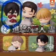 ［徵收］進擊的巨人 睡眠扭蛋 三笠 米卡莎 Mikasa