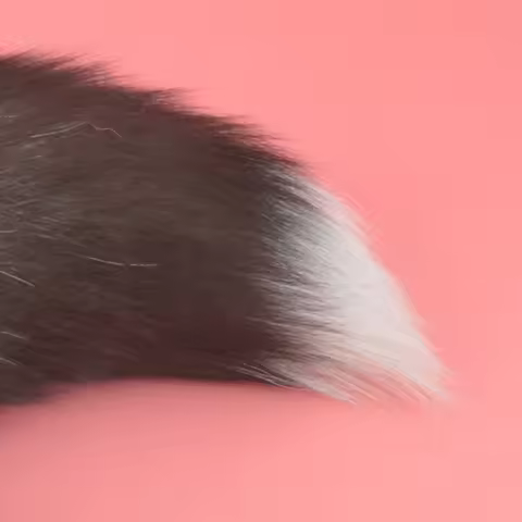 BXA Small Size Metal Dog Tail Butt Plug Real Hair Anal Plug Butt Plug Adult Product