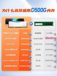 威剛XPG D500G龍耀DDR5記憶體6000/6400桌機電腦16g/32g/64g