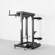Wall Mounted Reverse Hyperextension Machine Back Hamstring Glutes Lower Spine rehabilitation strengt