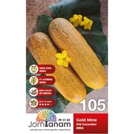 Old Cucumber Gold Mine JT-105 (20 seeds)