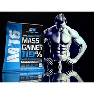 M16 MASS GAINER BSFN 12 lbs/5.4 kg Chocolate