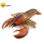 Realistic Marine Simulation Lobsters Model Australian Lobster Boston Lobster  Toy for Kid Gift B