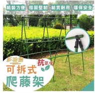 絲瓜棚 葡萄架 番茄棚架  A型爬藤架20mm超粗款整全配 百香果架四季豆架 鐵竹竿 塑鋼管 攀藤柱