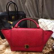 Celine 蛇皮