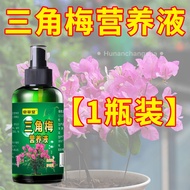 Bougainvillea nutrient solution  special flower-inducing fertilizer for flowering in four seasons  plant and flower general rooting solution