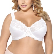 Minimizer Lace Bras Push Up Plus Ladies bra Thin Underwired Bra Big Size Top 36 38 40 42 44 46 48 50
