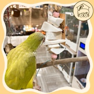 Made Taiwan Fine Repair Grinding No Mouth Cutting|Healthy Ocean Taste Cuttlefish Bone Calcium Supple