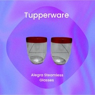 Retail allegra steamless glass 350ml one pc