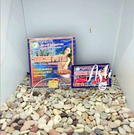 kapsul herbal macan putih original berkualitas