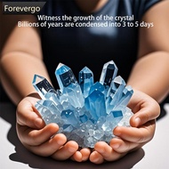 FOREVERGO Crystal Planting DIY Scientific Experiment Set Chemical Experiment Educational Toy Handmad