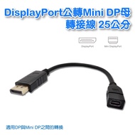 DP-9 (A) DisplayPort Male To Mini DP Female 25cm Adapter Cable