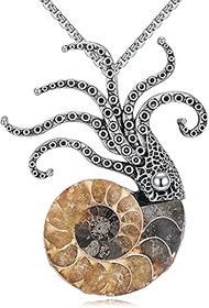 Natural Ammonite Fossil Necklace Stainless Steel Tentacles Pendant Ocean Jewelry Christmas Birthday 