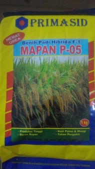 Padi Hibrida Mapan P 05