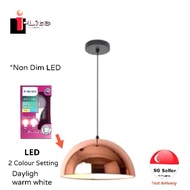 PENDANT LIGHT WITH E27 LED BULB 8W 2 SETTING COLOUR TEMPERATURE
