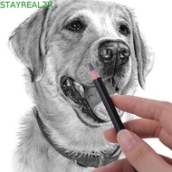 STAYREAL2R Sketch Pencil Set, Smooth Writing HB 2H 4H B 2B 3B Graphite Pencil, Journal 10B 12B 14B D