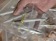 {巨龍商行}現貨! 唐森模玩 特南克斯 A款 特典 界王神劍 非SHF