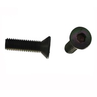 Black M3 hex RC bolt