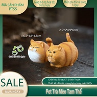 Pet tea - Calico cat