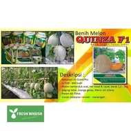 Melon Hibrida Quinza f1 20gr Original Rock Melon Melon Orange