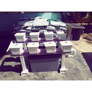 Hydroponics- Hygrowpot HLT S8 Cute