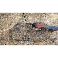 2-wing boom specializes in convolving