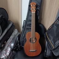 我係低音彩虹人  aNueNue I'm Bass  UBASS Electro Ukulele bass 電木烏克麗麗
