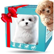 2025 Anjing Robot Kecerdasan Buatan Baharu - Anjing Robot Pintar Saya, Bertindak Seperti Anjing Sebe