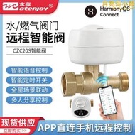 【好物優選】水享wifi鴻蒙智能電磁閥聯動水浸衛士燃氣警報器漏水漏氣保護神器