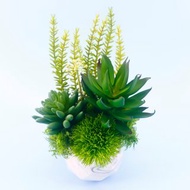 蘆薈多肉組合香氛植栽/擬真植物/人造盆栽/綠化/佈置/禮物