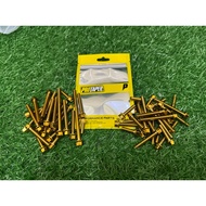 PROTAPER Y15 Y15ZR LC5s Engine Screw Set Gold