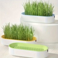 Cat Grass Planting Box(Without Seeds), Planting Hydroponics Box, Garden Seed Sprouter Tray, Seed Spr