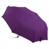 Fibrella Automatic Umbrella F00381 (Purple)-C