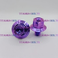 Ninja R SS RR Titanium Bolt GR5 Top Triangle Bolt Original