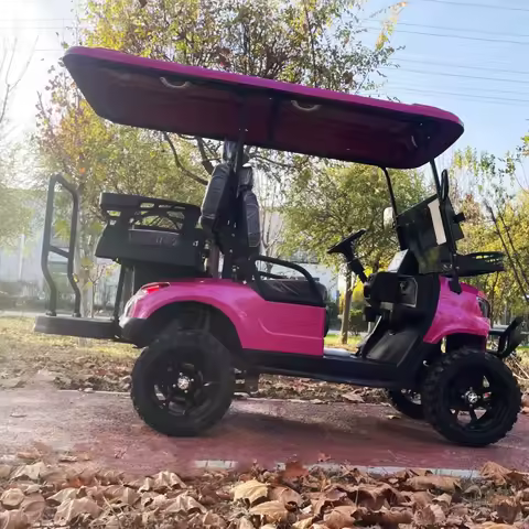 Electric Golf Cart With Front Bumper 12-Inch Off-Road Tires Sand Bucket X2 Top Basket All-Terrain Of