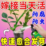 Plant Wound Healing Agent Grafting Potion Tree Fruit Seedling Bonsai Flower Cut Protection A