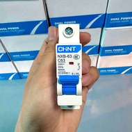 Small circuit breaker/Overload circuit breaker CHINT NXB-63 C63 1P 63A.