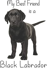 My best Friend is a Black Labrador (Squared Paper): 6" x 9" Blank Quadrille (quad) ruled Journal Not