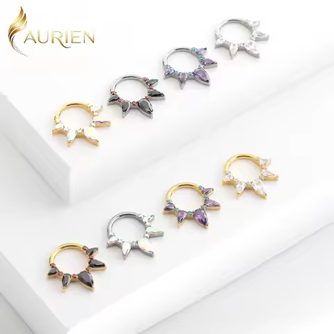 ASTM F136 Titanium Color CZ Hinged Segment Clicker Earring Cartilage Nose Hoop Septum Rings Piercing