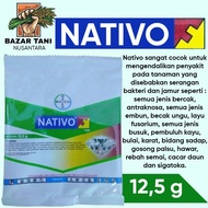 NATIVO 75WG FUNGISIDA 12,5 GRAM NATIFO BAYER Bahan aktif: tebukonazol