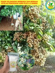Pupuk AGRO PLUS Pupuk agro TERBAIK BOOSTER BUNGA BUAH KELENGKENG MANGGA DURIAN JERUK JAMBU ALPUKAT P