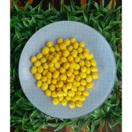 Kacang Soya [650g per pack]