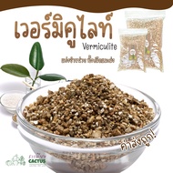 เวอร์มิคูไลท์ Vermiculite แบ่งขายถูกๆ ! วัสดุปลูก ดูดซับน้ำได้ดีและช่วยลดความร้อนและอุณหถูมิในดิน  แคคตัส ไม้อวบน้ำ ไม้ฟอกอากาศ ไม้ดอก