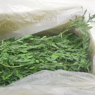 2026 Fresh Grass Drying Alfalfa Grass Alfalfa Grass Chinchilla Grass Rabbit Food Feed Hay Grass Gros