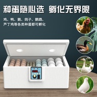 Incubator Small For Home Automatic Intelligent Egg Incubator Mini Water Bed Incubator Chicken Rutin Chicken Incubator