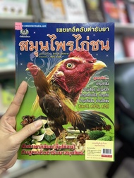 หนังสือเกษตร เผยเคล็ดลับตำรับยาสมุนไพรไก่ชน ซุ้มไก่ชน บำรุงกล้ามเนื้อไก่ บำรุงปีกขนไก่